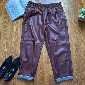 MNG Burgundy Faux Leather Drawstring Pants